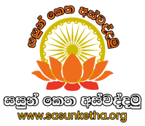 සසුන් කෙත
